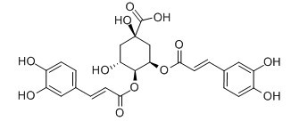 异绿原酸C;4,5-二咖啡酰奎宁酸